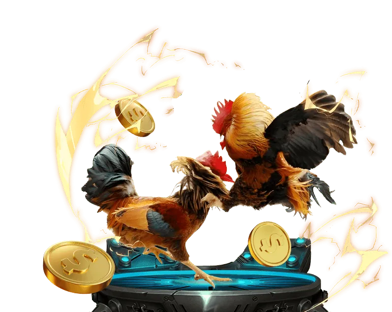 Cá cược Đá gà trực tuyến tại sportsbet đăng nhập